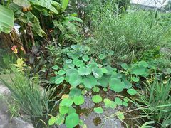 -苏州味道(阳澄湖服务区店)