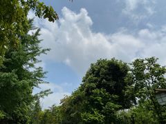 -邓小平故里