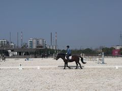 -松声马术俱乐部