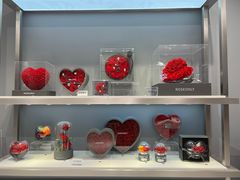 -ROSEONLY诺誓(广州K11店)