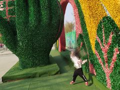 -兰陵国家农业公园