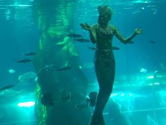 -北戴河圣蓝海洋公园