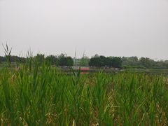 -永定河休闲森林公园