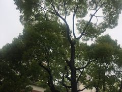 -上海市总工会沪东工人文化宫