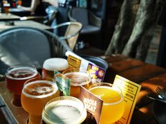 -Boxing Cat Brewery拳击猫精酿啤酒馆(永福店)