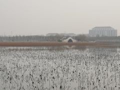 -天津东丽湖风景区