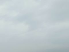 -空港花田景区