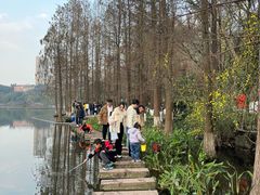 -重庆彩云湖湿地公园