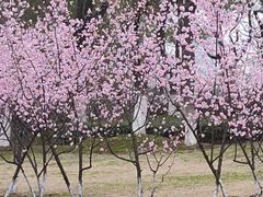 -白塘生态植物园