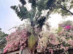 -深圳国际园林花卉博览园