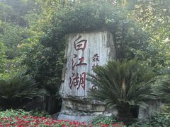 -广州白江湖森林公园