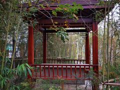 -红星美凯龙(山东全球家居1号店)