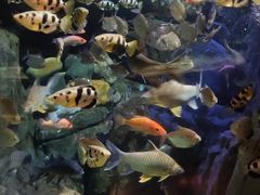 -成都浩海立方海洋公园