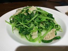 毛毛菜豆腐皮-金枝玉叶上海人家食府(三里河店)