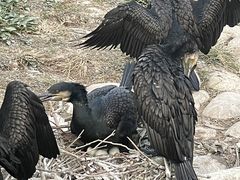 -上海野生动物园