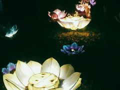-新东新.融合菜