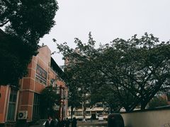 -四川大学(望江校区)