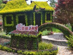 -东平国家森林公园