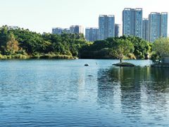 -五缘湾湿地公园