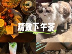 -咖法森林·咖啡  酒吧(天河店)