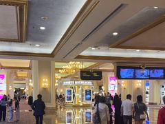 -澳门威尼斯人综合度假区