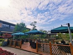 -成都安仁福朋喜来登酒店