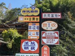 -林坑古村落