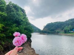-广州市石门国家森林公园