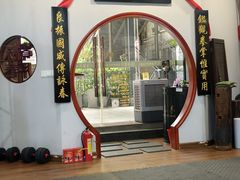 -温鉴良实用咏春拳