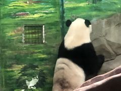 -灵玲国际马戏城
