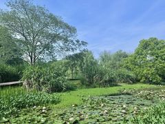 -西溪国家湿地公园