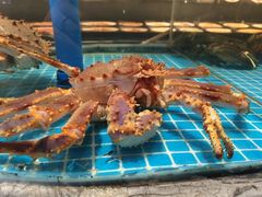 -百富源·海鲜辽菜(张士店)
