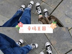 -辛玛王国游乐园