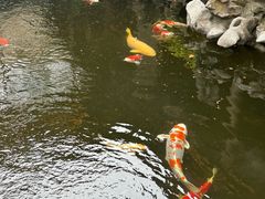 -鲤院·新中式美学·庭院餐厅(夫子庙店)