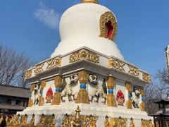 -护国法轮寺