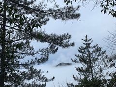 -明月山风景名胜区