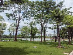 -顺峰山公园
