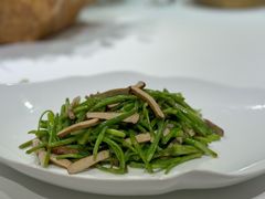 -西郊5号·Maggie 5