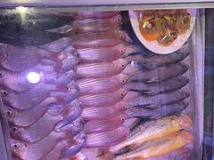 -施施海鲜餐厅(长乐店)