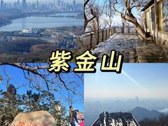 -紫金山山顶公园