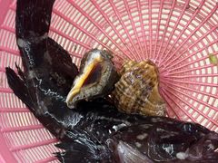 -鑫鸿达·海鲜闽菜热炒小馆(中山路店)