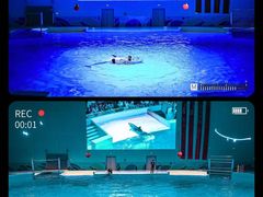 -石家庄极地海洋世界