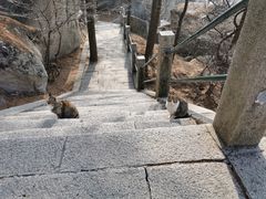 -崂山巨峰游览区