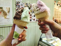 -柠檬车露(卖草地店)