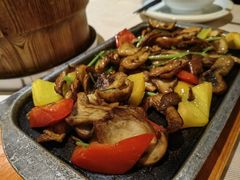 香煎美味牛肝菌-云来居素食馆(南山店)