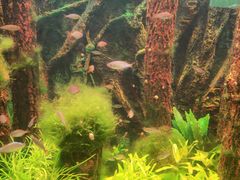 -多彩贵州城极地海洋世界