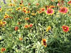 -南京市无想山景区