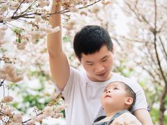 -天适樱花悠乐园