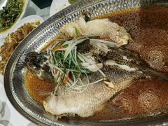 -老广酒楼(樱花店)