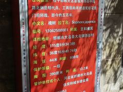 -大名府